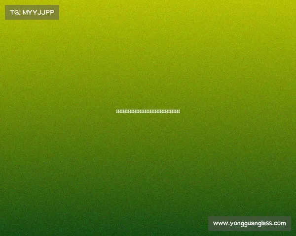 二〇二四年国际轮滑大奖赛全球精英齐聚争霸荣耀时刻盛会